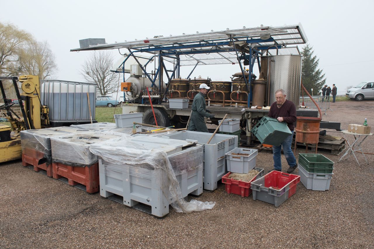 Evenements Nez dans le vert 8038